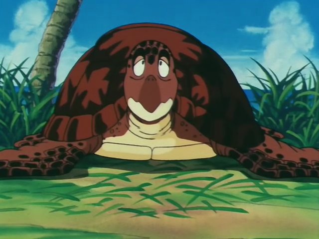 File:Turtle actual.png