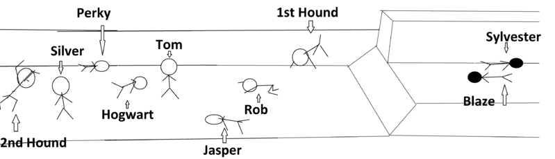 File:Chapter 25 woods positioning.png