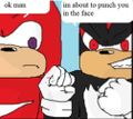 Shadow's reaction after hearing of Knuckles' plan.