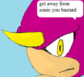 Espio as he first appears in Tails Gets Trolled.